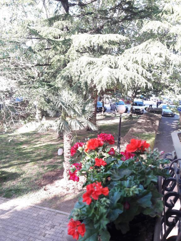 Apartment Vukasevic Virpazar Bagian luar foto